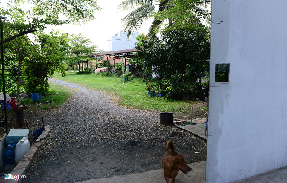 4 khu đất công bỏ hoang trên đoạn đường hơn 1 km ở Sài Gòn